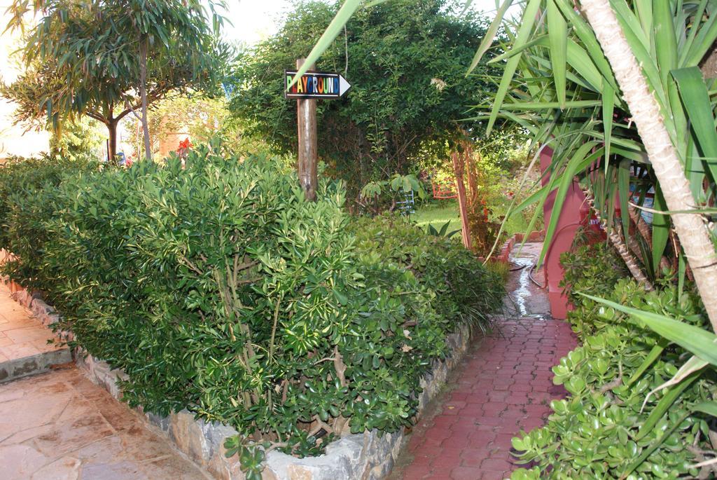 Poledas Apartments Georgioupoli Rum bild